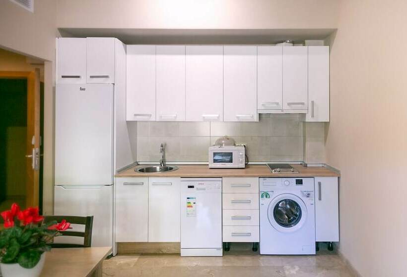استودیوی استاندارد, Apartamentos Turísticos La Castilleja