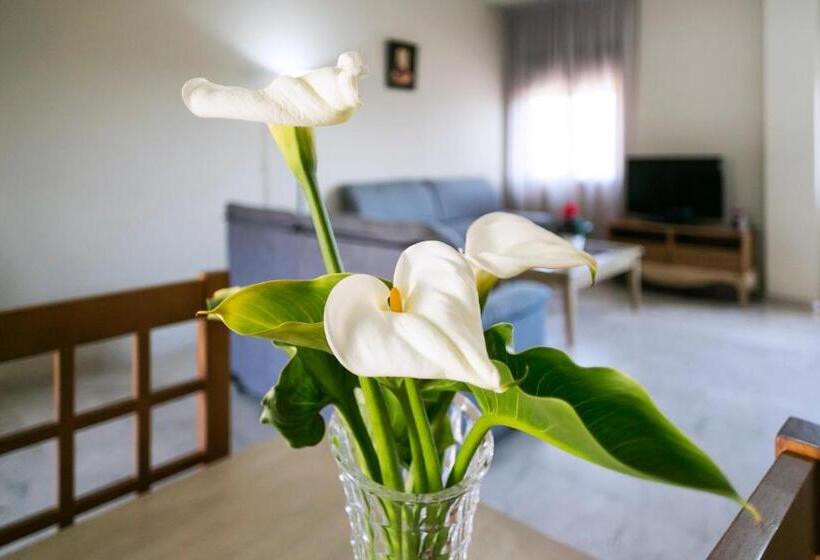 آپارتمان 1 خوابه, Apartamentos Turísticos La Castilleja
