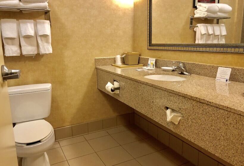 스위트, Comfort Inn & Suites Montgomery Eastchase
