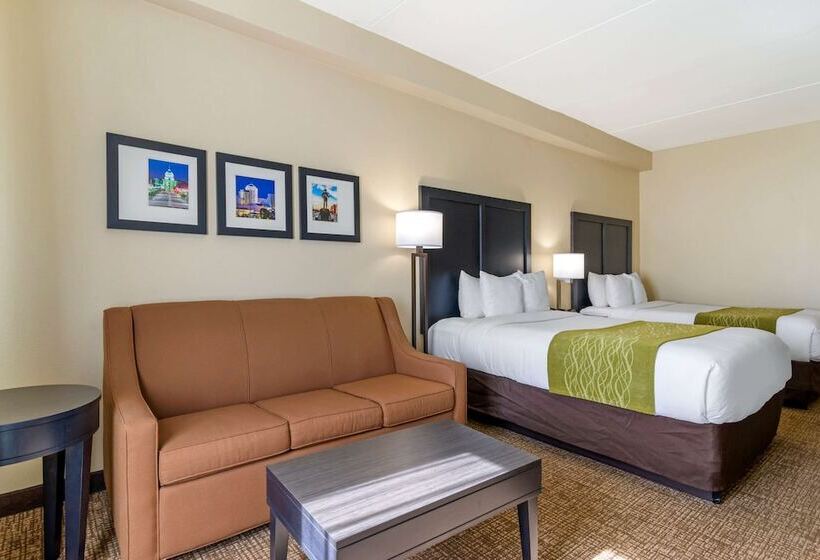 스위트, Comfort Inn & Suites Montgomery Eastchase