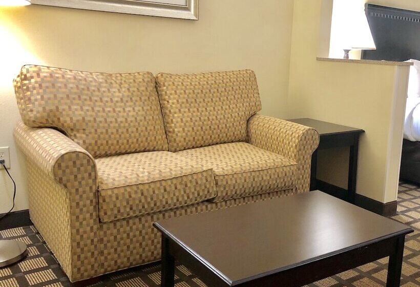 스위트, Comfort Inn & Suites Montgomery Eastchase