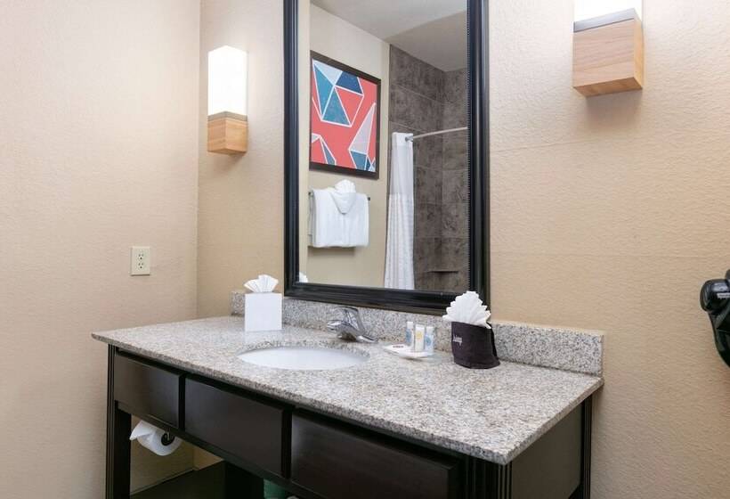 Suite, Comfort Suites Arlington  Entertainment District