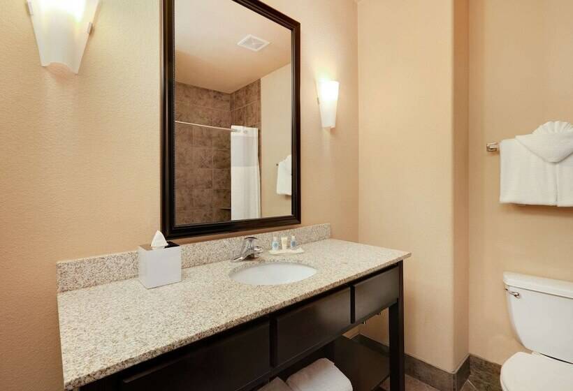 Suite Adaptada per a persones amb mobilitat reduïda, Comfort Suites Arlington  Entertainment District