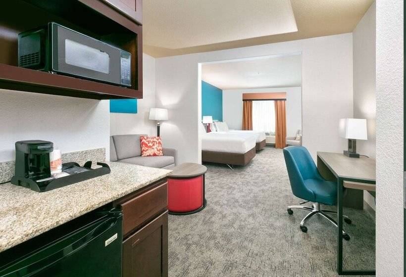 Suite Adaptada per a persones amb mobilitat reduïda, Comfort Suites Arlington  Entertainment District