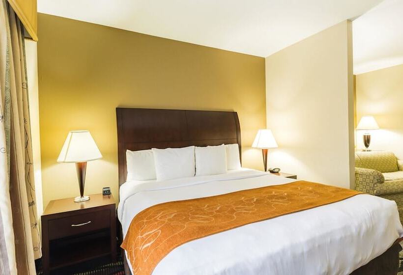 스위트, Comfort Suites Beaumont I10