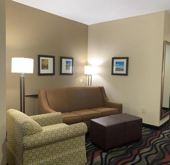 스위트, Comfort Suites Beaumont I10