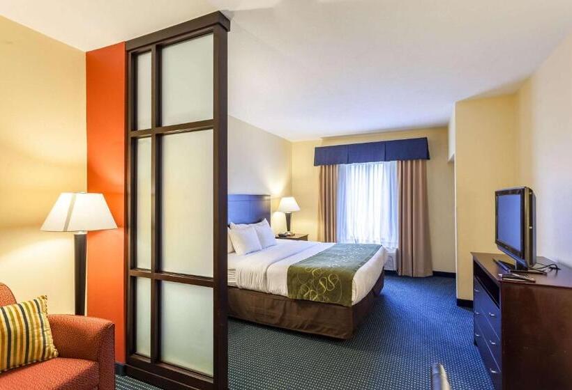 Люкс Кровать Кинг, Comfort Suites East Lincoln   Mall Area