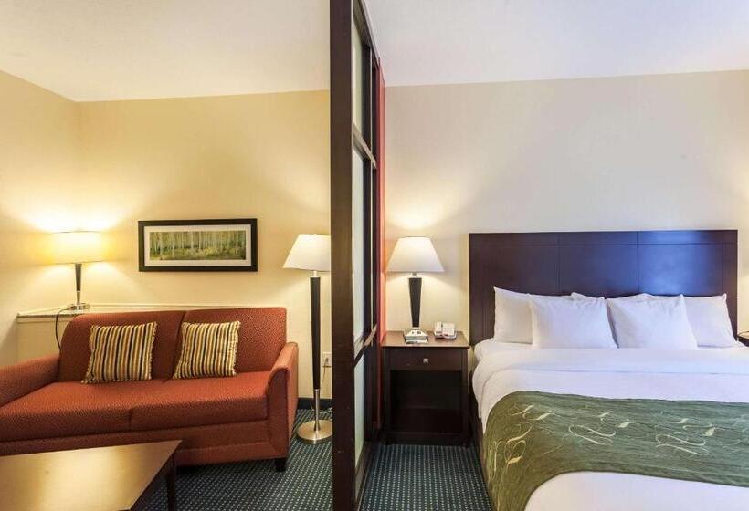 Люкс Кровать Кинг, Comfort Suites East Lincoln   Mall Area