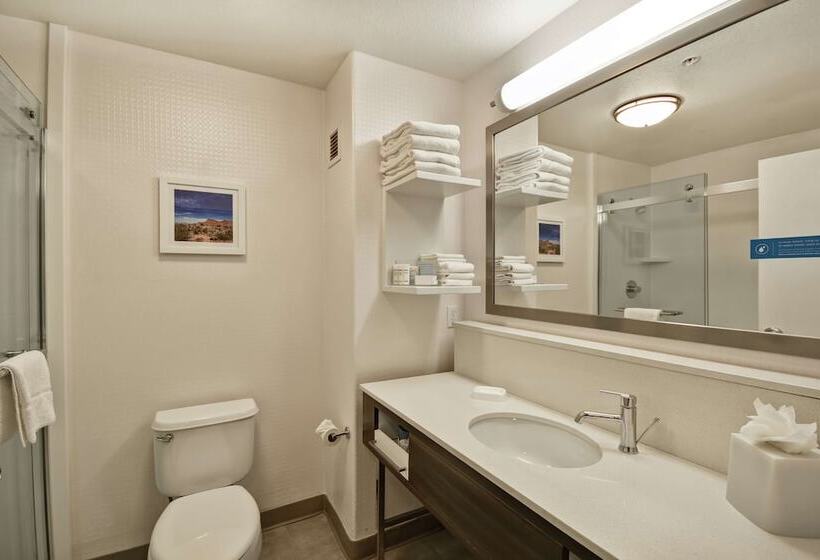 스탠다드 룸 더블 침대 2개, Hampton Inn & Suites Yuma