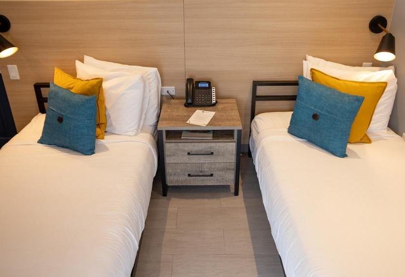 اتاق استاندارد, The Ivy Hotel San Juan