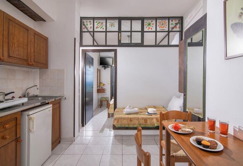 آپارتمان 1 خوابه با چشم‌انداز دریا, Iliostasi Beach Apartments