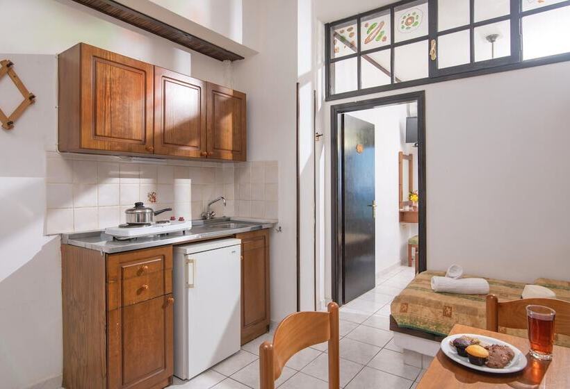 آپارتمان 1 خوابه با چشم‌انداز دریا, Iliostasi Beach Apartments
