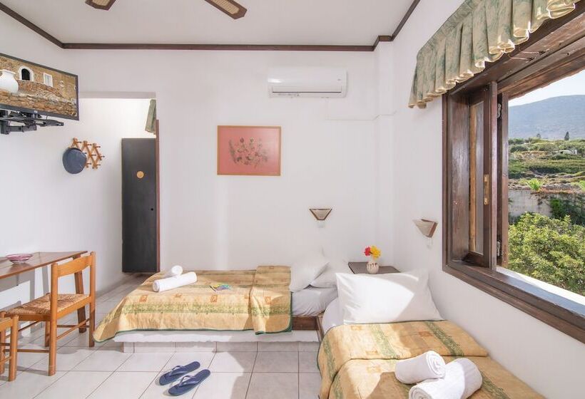آپارتمان 1 خوابه با چشم‌انداز دریا, Iliostasi Beach Apartments