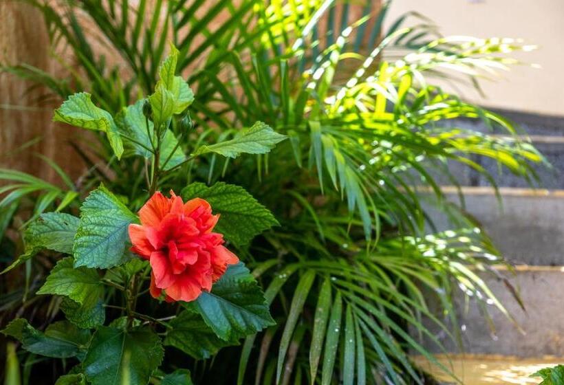 اتاق لوکس با بالکن و چشم‌انداز دریا, Casa Biulú