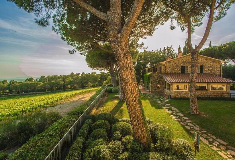 Номер Стандарт, Fattoria Di Magliano Winery