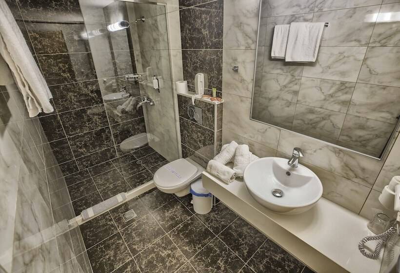 اتاق استاندارد سه نفره, Sofia