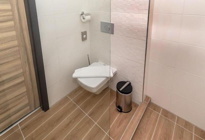 חדר דלוקס, Arany Apartman Miskolc