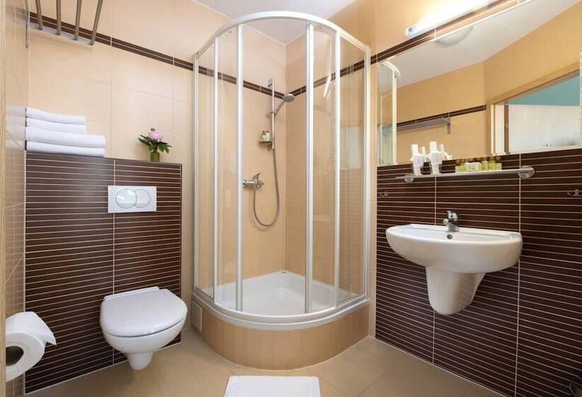 Номер Стандарт Индивидуальный, Amber Boutique Hotels   Hotel Amber