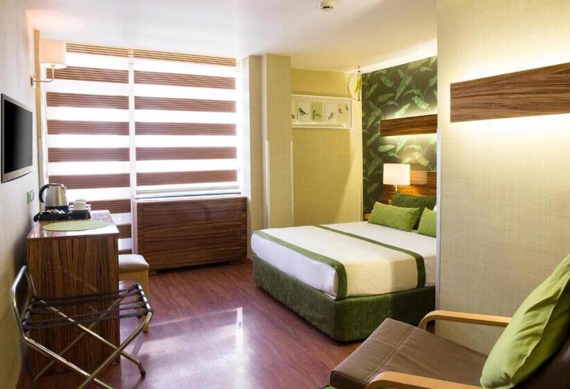 Habitación Superior, Buyuk Keban