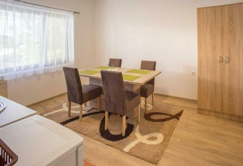 اتاق استاندارد با تراس, Apartmani Albion