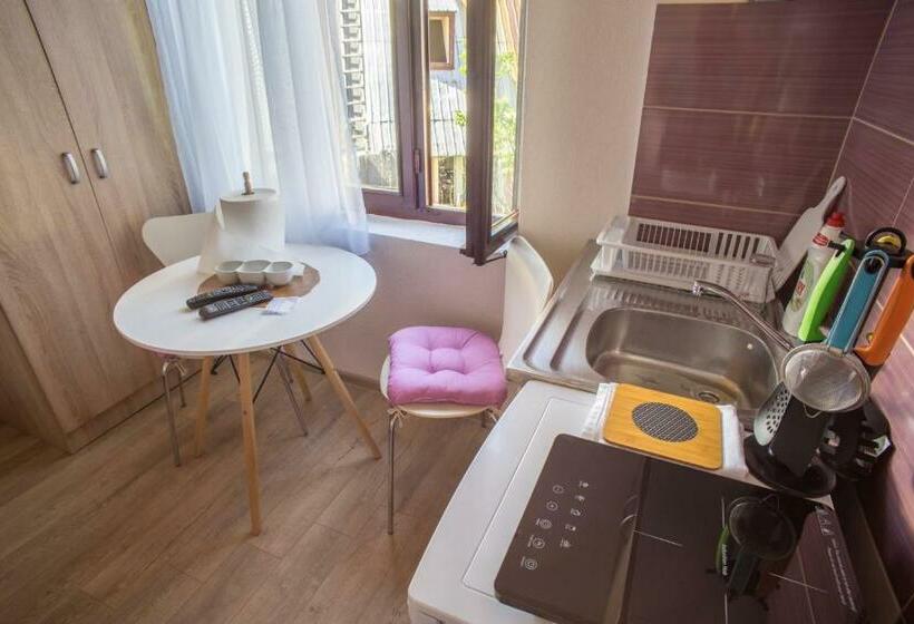 اتاق استاندارد, Apartmani Albion