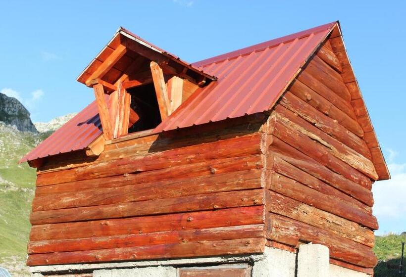 اتاق استاندارد با سرویس بهداشتی مشترک, Rural Household Minić   Kapetanovo Jezero