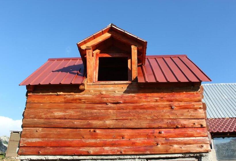 اتاق استاندارد با سرویس بهداشتی مشترک, Rural Household Minić   Kapetanovo Jezero