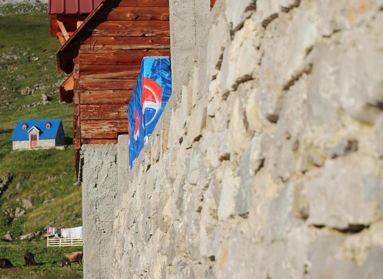 اتاق استاندارد با سرویس بهداشتی مشترک, Rural Household Minić   Kapetanovo Jezero