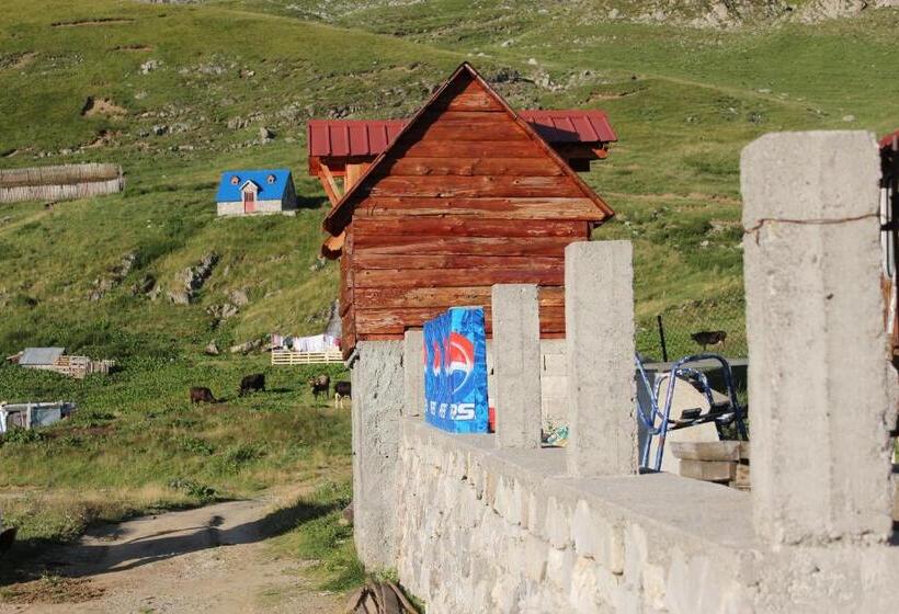 اتاق استاندارد با سرویس بهداشتی مشترک, Rural Household Minić   Kapetanovo Jezero