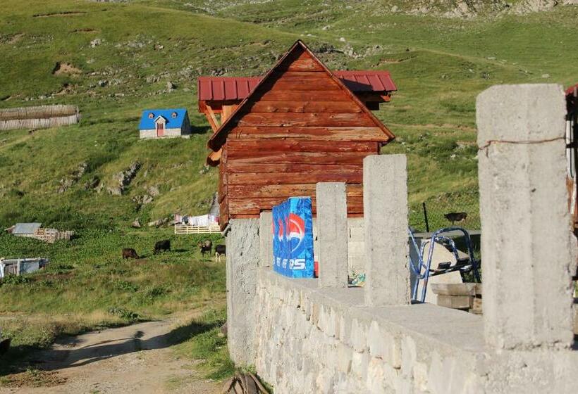 اتاق خانوادگی با سرویس بهداشتی مشترک, Rural Household Minić   Kapetanovo Jezero