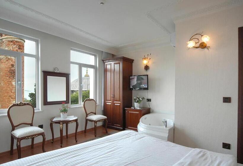 اتاق استاندارد با چشم‌انداز دریا, Ada Hotel Istanbul