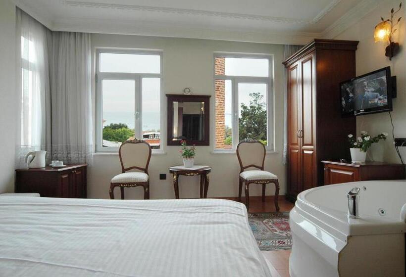 اتاق استاندارد با چشم‌انداز دریا, Ada Hotel Istanbul