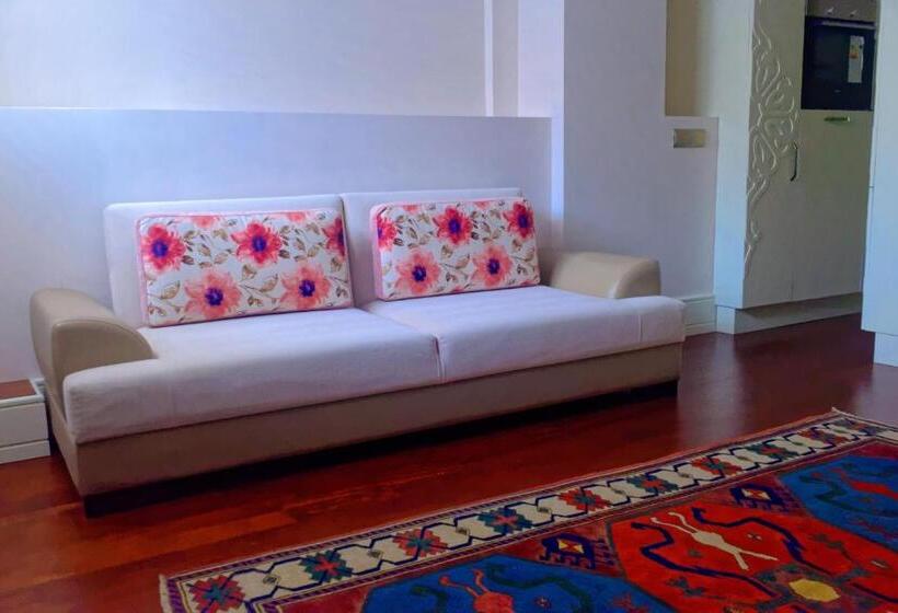 آپارتمان لوکس 1 خوابه, Ada Hotel Istanbul