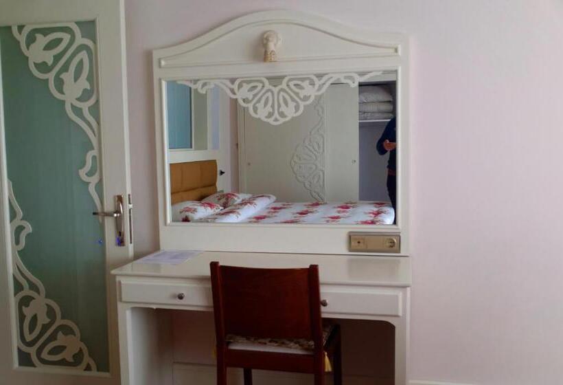 آپارتمان 1 خوابه با بالکن, Ada Hotel Istanbul