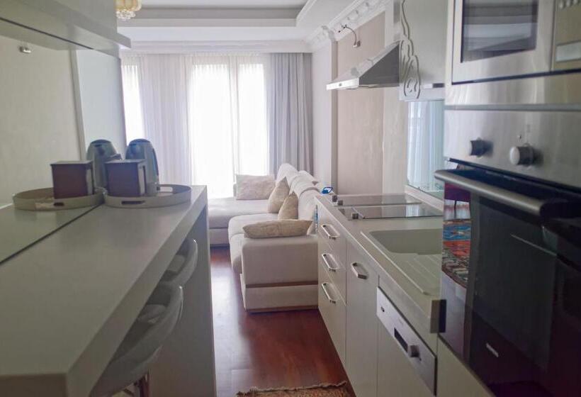 آپارتمان 1 خوابه با بالکن, Ada Hotel Istanbul