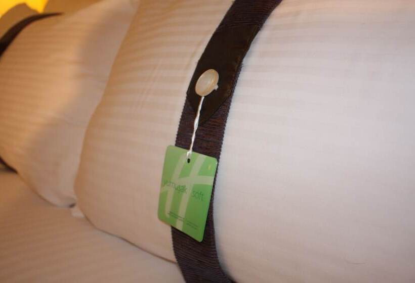 اتاق استاندارد, Holiday Inn Sisli, An Ihg