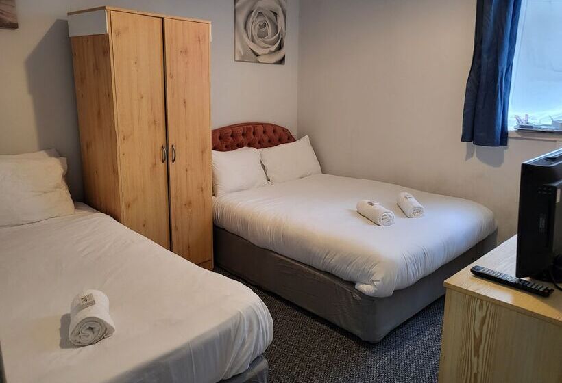 Quarto Triplo Estandar, Tulip