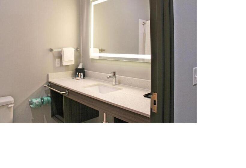 Camera Standard Accessibile ai Disabili, Comfort Inn Miramar Beachdestin