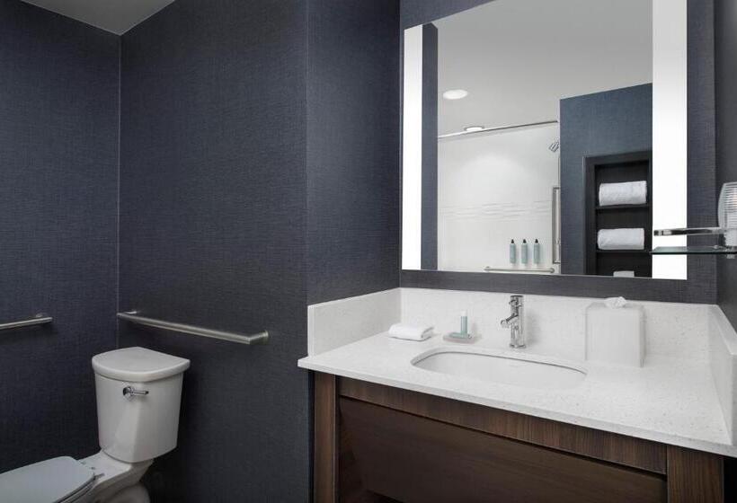 Estúdio standard Cama King, Residence Inn By Marriott Jacksonville Downtown