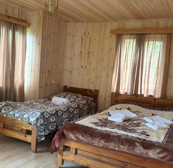 اتاق استاندارد با چشم‌انداز کوهستان, Chazhashi Guesthouse