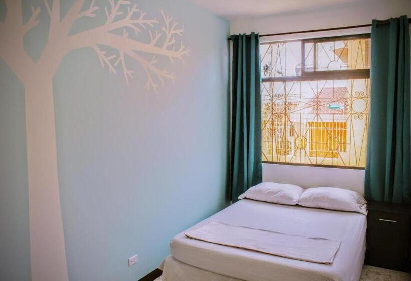 Номер Стандарт, Stray Cat Hostel