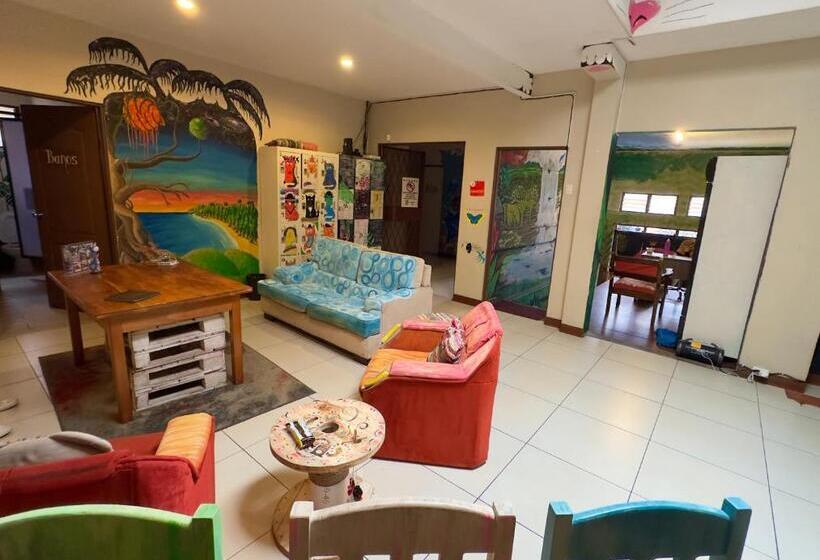 Номер Стандарт, Stray Cat Hostel