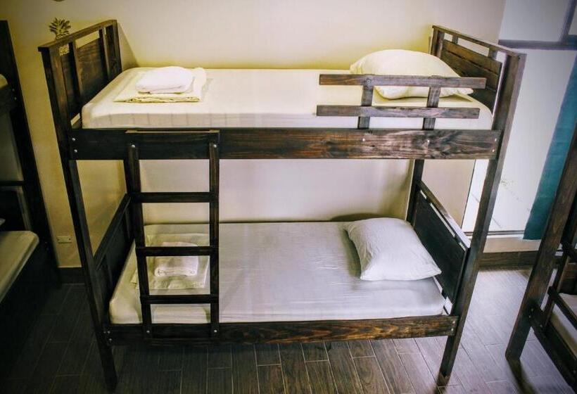 Номер Стандарт Трехместный, Stray Cat Hostel
