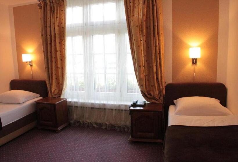 اتاق استاندارد, Altstadthotel Hayk Am Rhein