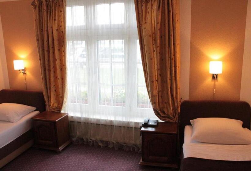 اتاق استاندارد, Altstadthotel Hayk Am Rhein