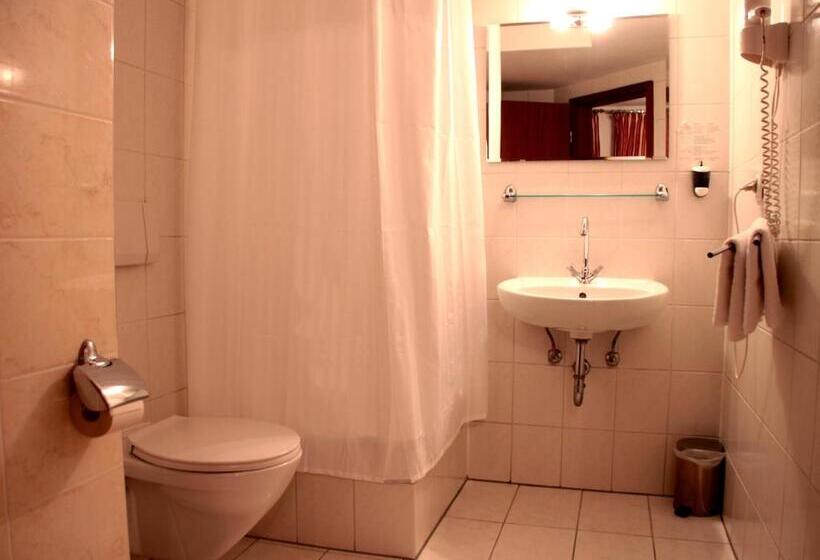 اتاق استاندارد, Altstadthotel Hayk Am Rhein