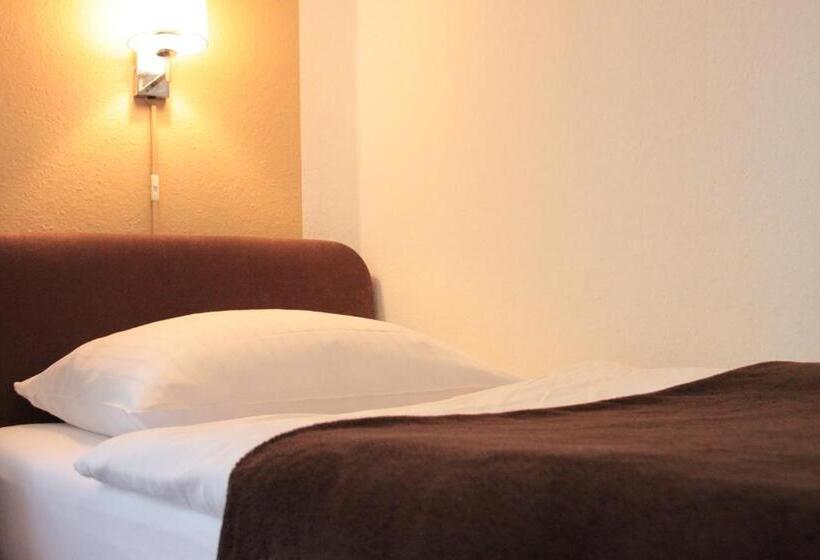 اتاق استاندارد, Altstadthotel Hayk Am Rhein