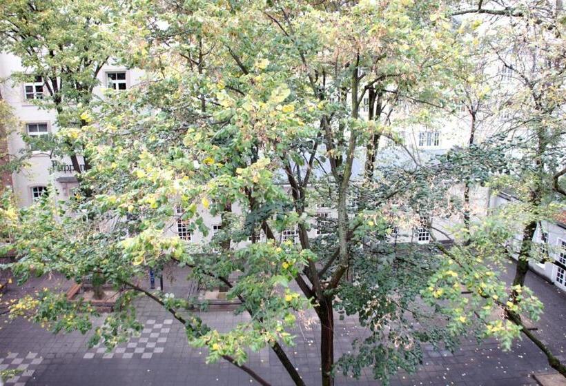آپارتمان اقتصادی دو خوابه, Altstadthotel Hayk Am Rhein