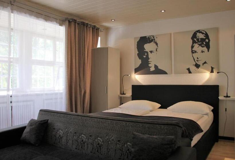 آپارتمان اقتصادی دو خوابه, Altstadthotel Hayk Am Rhein