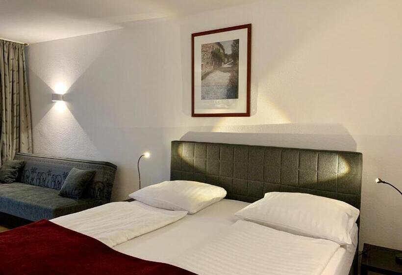 آپارتمان 3 خوابه, Altstadthotel Hayk Am Rhein
